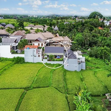 Villa La Vida Loca - Happy Sunny In Ubud, Bali
